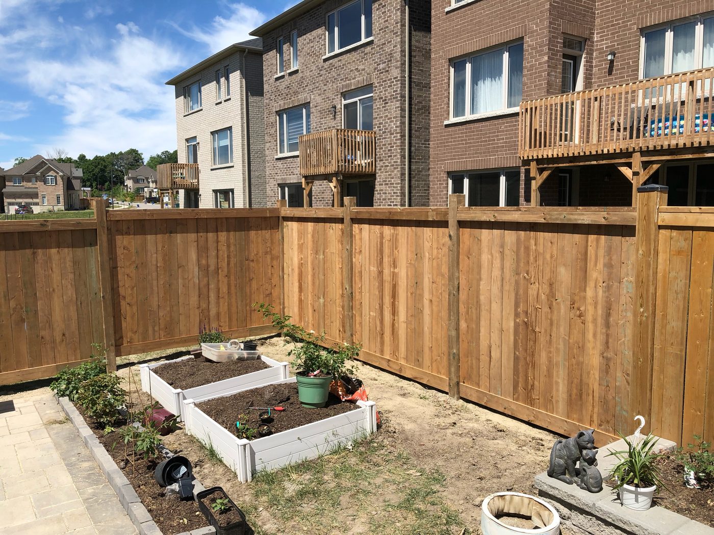 New cedar privacy fence in a backyard